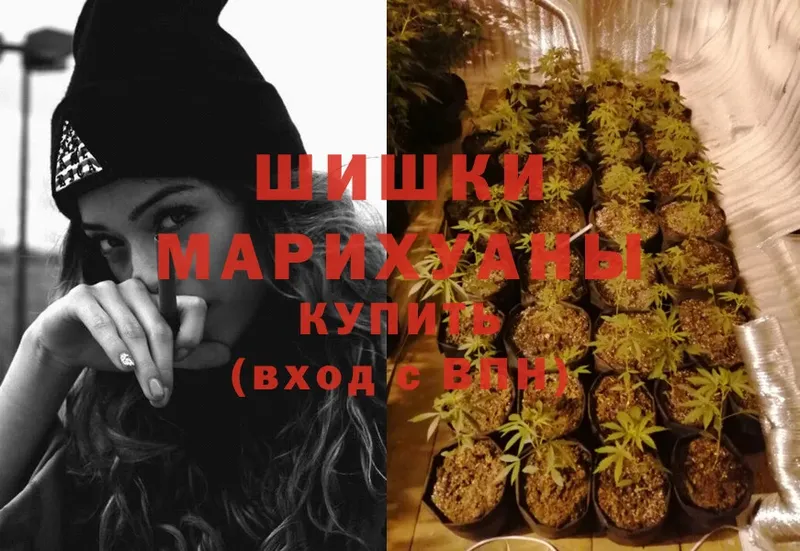 наркота  Железногорск-Илимский  Канабис Ganja 